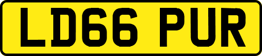 LD66PUR
