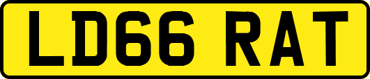 LD66RAT