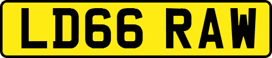 LD66RAW