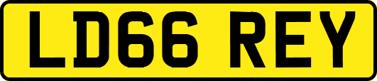 LD66REY