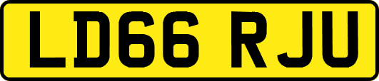 LD66RJU