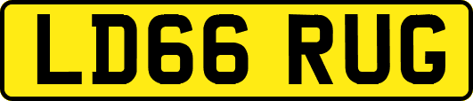 LD66RUG