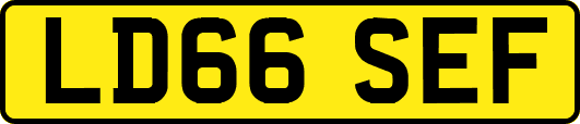 LD66SEF