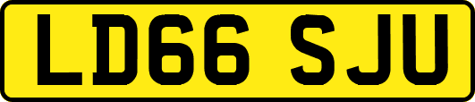 LD66SJU