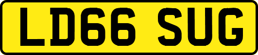 LD66SUG