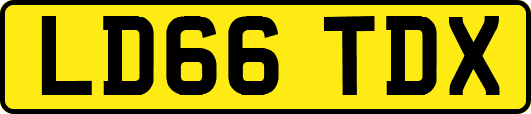 LD66TDX