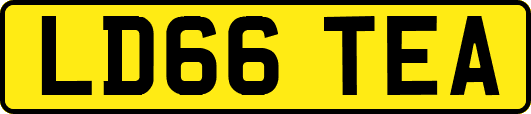 LD66TEA