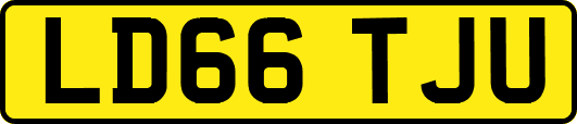 LD66TJU