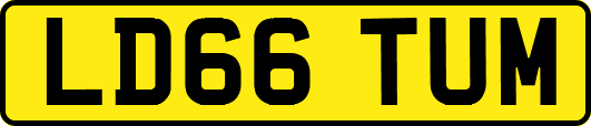 LD66TUM