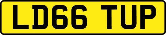 LD66TUP