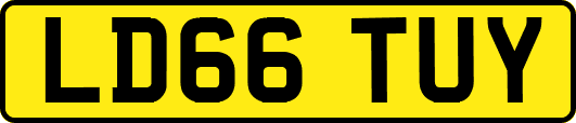 LD66TUY
