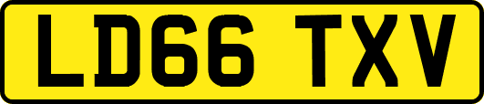 LD66TXV