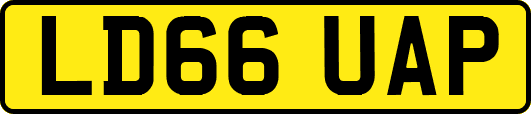 LD66UAP