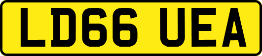 LD66UEA
