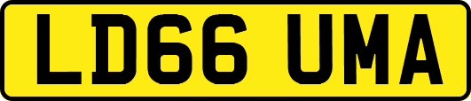 LD66UMA