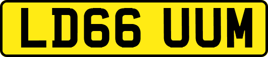 LD66UUM