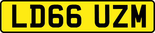 LD66UZM