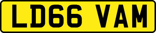 LD66VAM