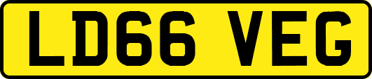 LD66VEG