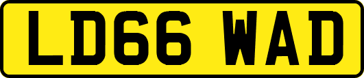 LD66WAD