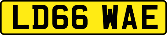 LD66WAE
