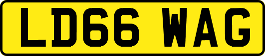 LD66WAG