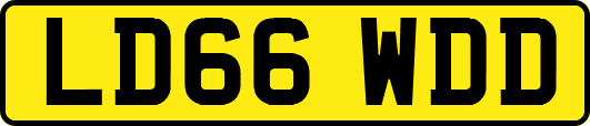 LD66WDD