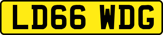 LD66WDG
