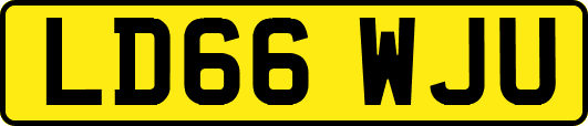 LD66WJU