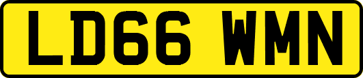 LD66WMN