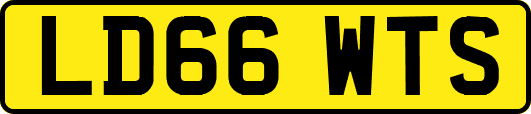 LD66WTS