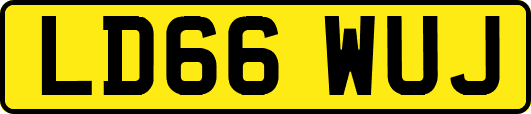 LD66WUJ