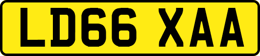 LD66XAA