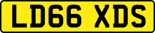 LD66XDS
