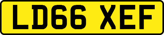 LD66XEF