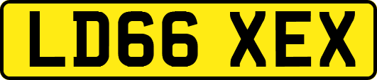 LD66XEX