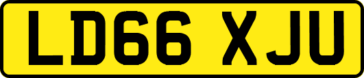LD66XJU