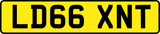 LD66XNT
