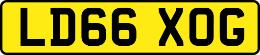 LD66XOG