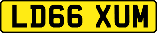 LD66XUM