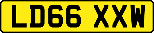 LD66XXW