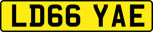 LD66YAE