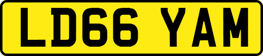 LD66YAM