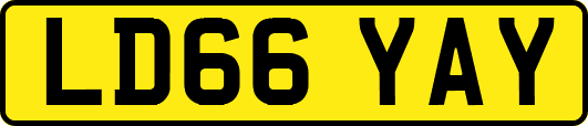 LD66YAY