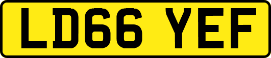 LD66YEF
