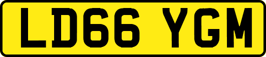 LD66YGM