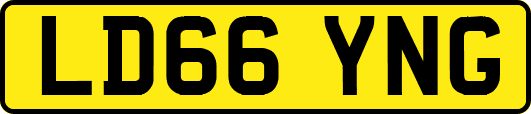 LD66YNG