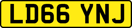 LD66YNJ