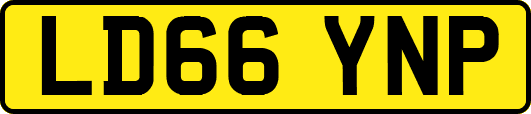 LD66YNP