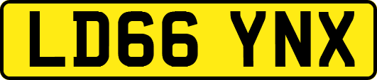 LD66YNX